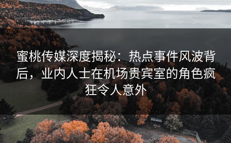 蜜桃传媒深度揭秘：热点事件风波背后，业内人士在机场贵宾室的角色疯狂令人意外