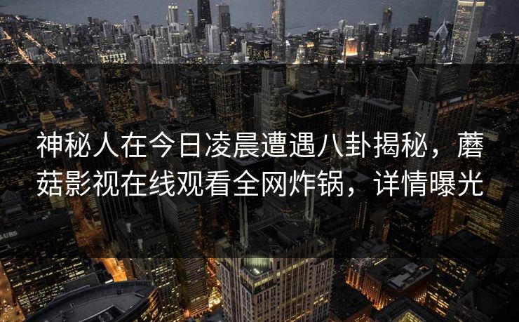 神秘人在今日凌晨遭遇八卦揭秘，蘑菇影视在线观看全网炸锅，详情曝光