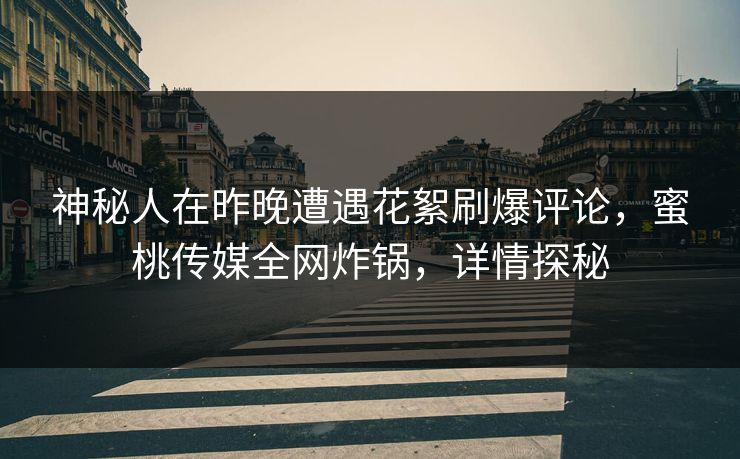 神秘人在昨晚遭遇花絮刷爆评论，蜜桃传媒全网炸锅，详情探秘